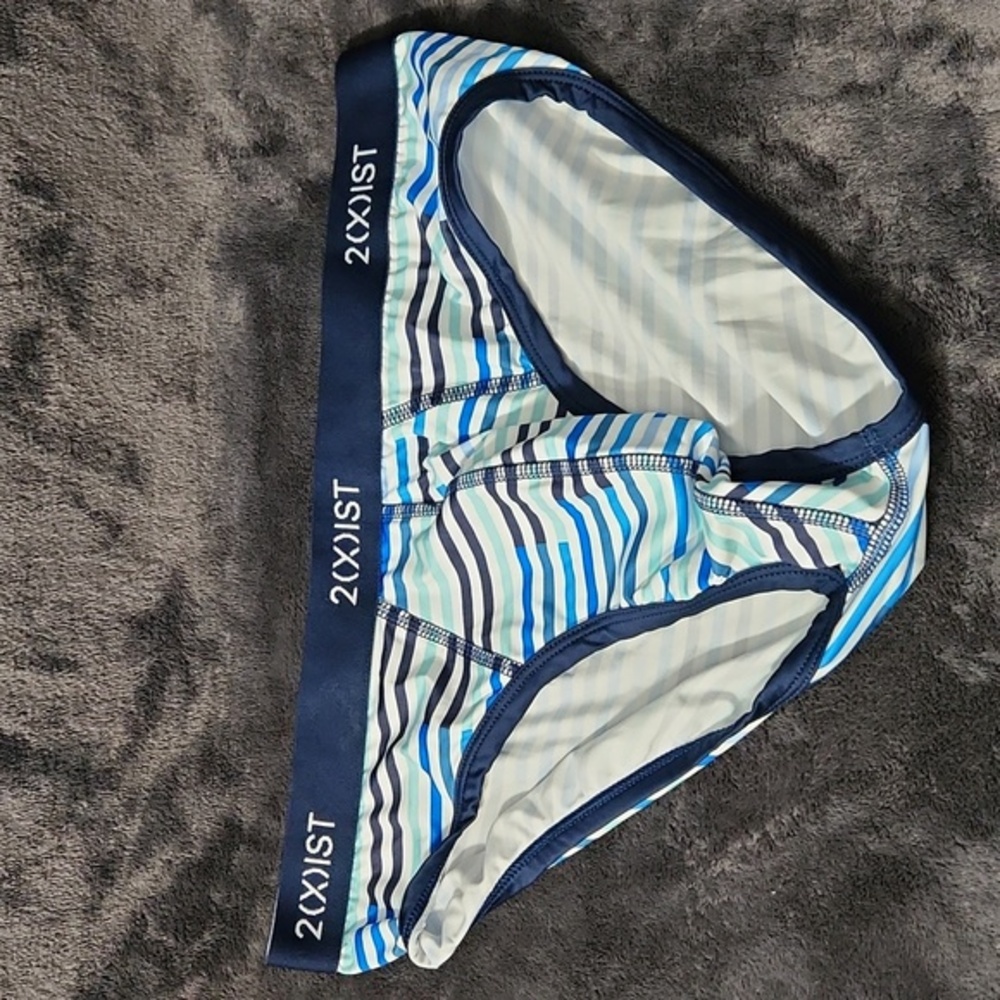 2(X)IST Striped Large Blue Briefs